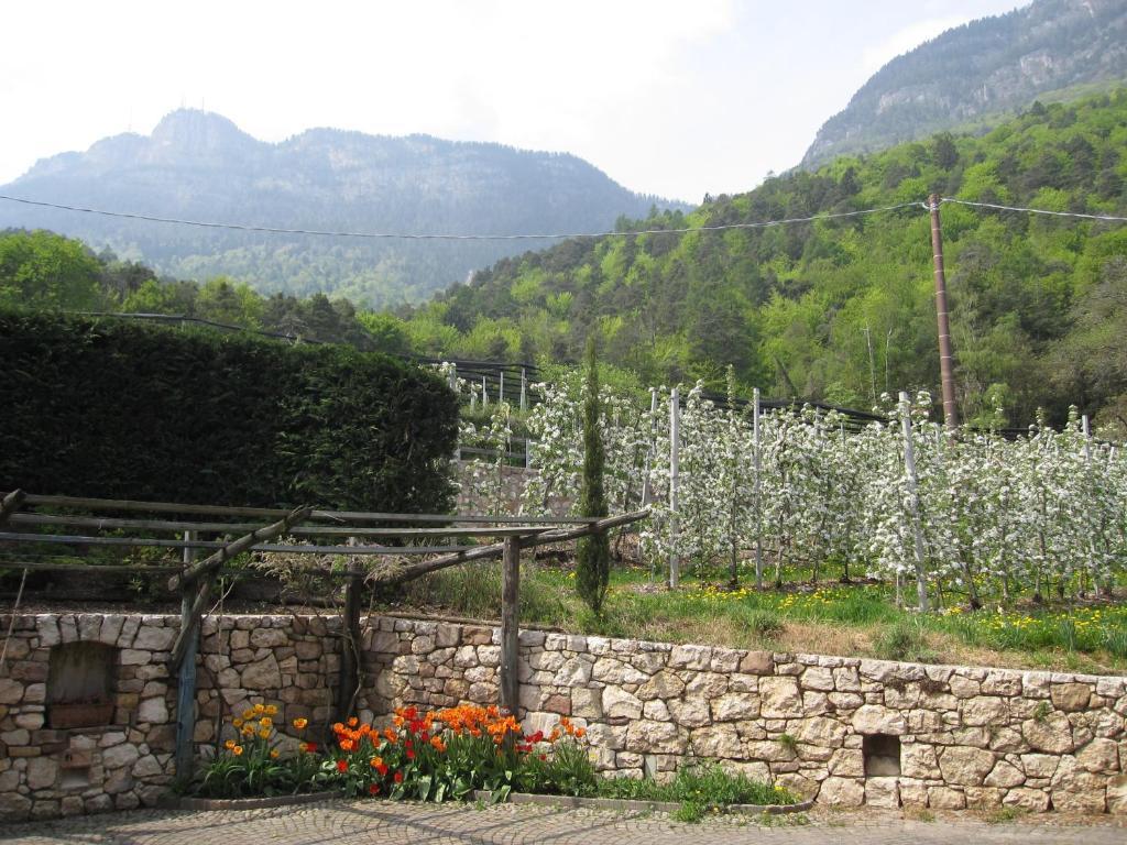 Schloss-Hof Appiano Sulla Strada Del Vino Room photo